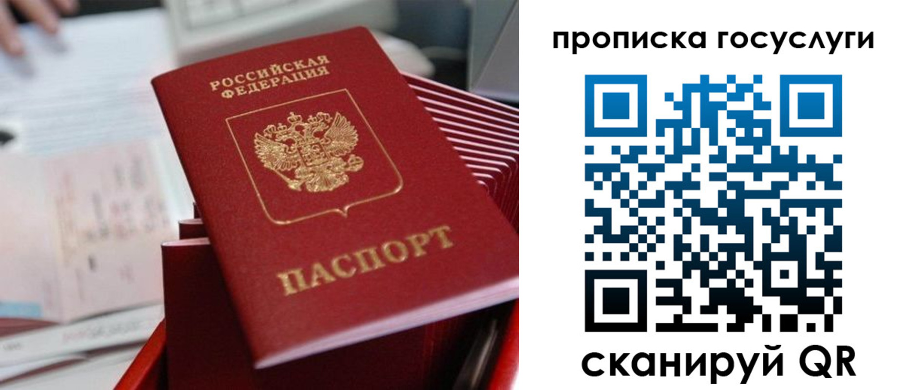 прописка законно в Ворсме